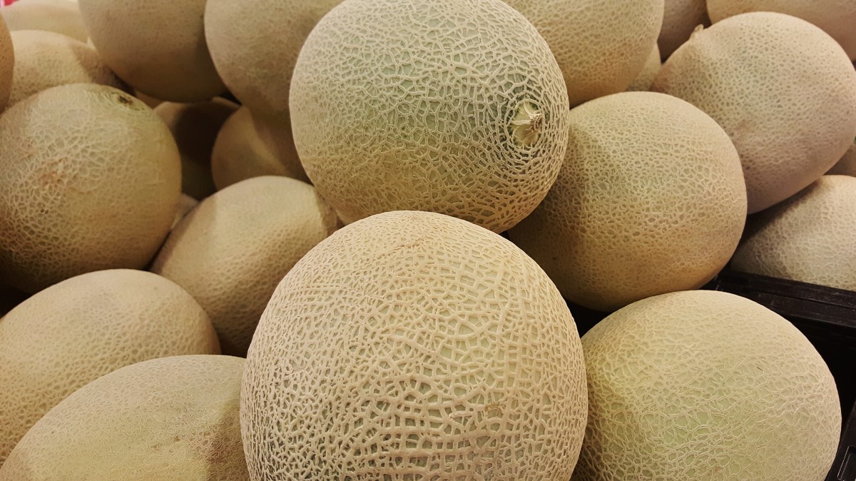 Frutas Tropicales 21