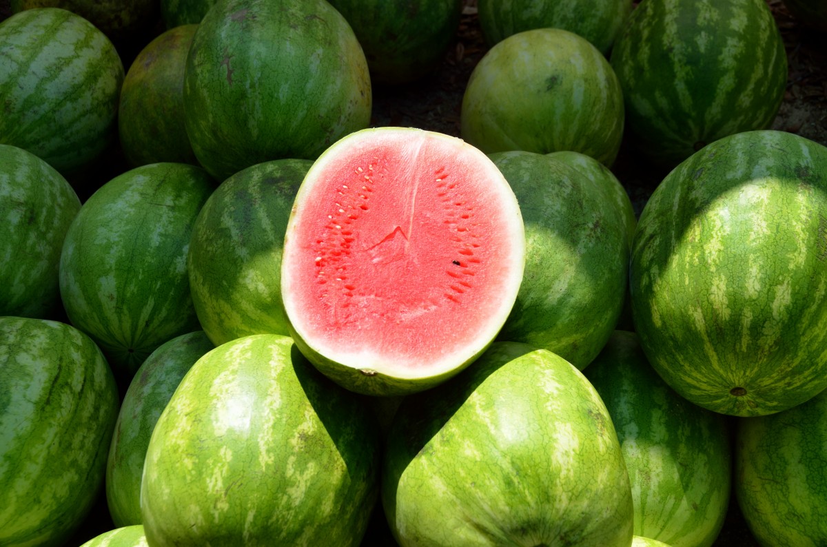 Frutas Tropicales 22