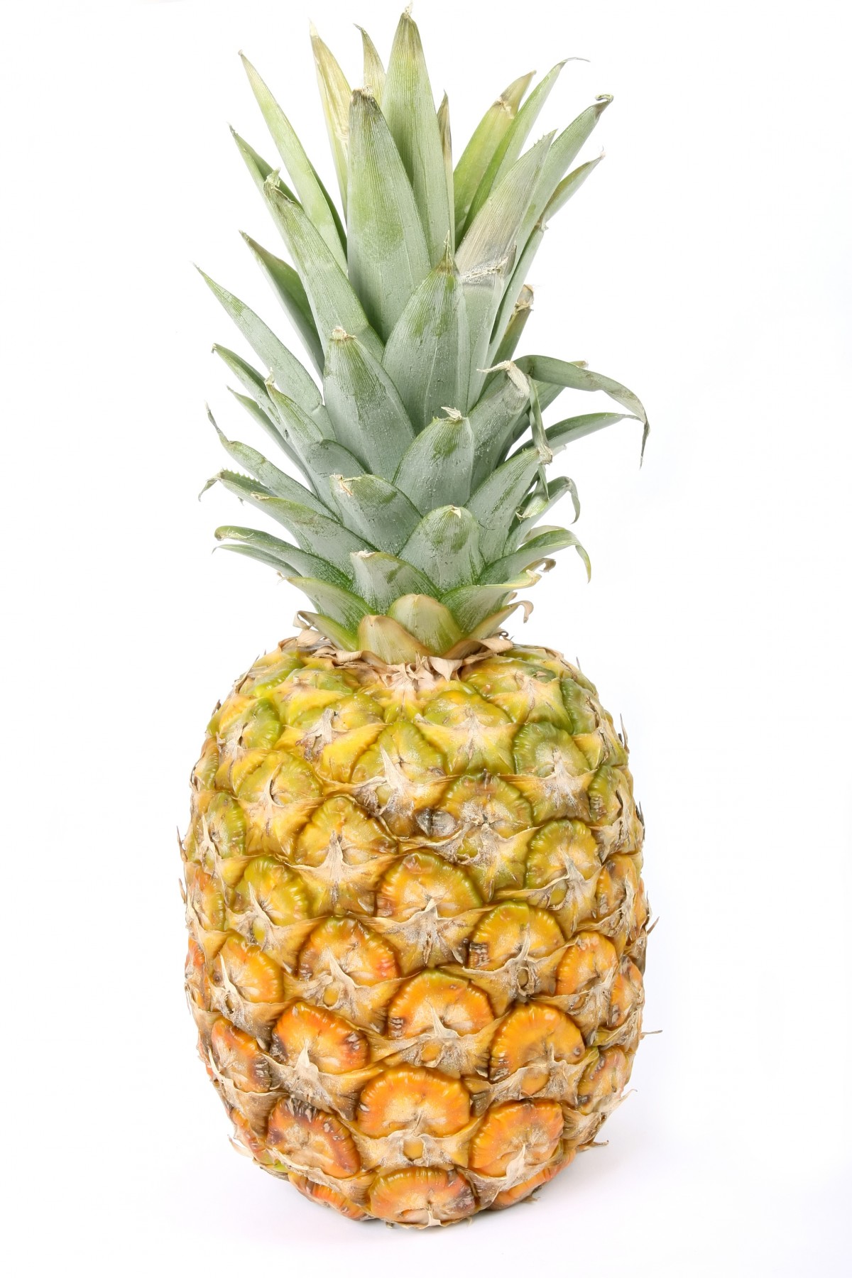 Frutas Tropicales 24