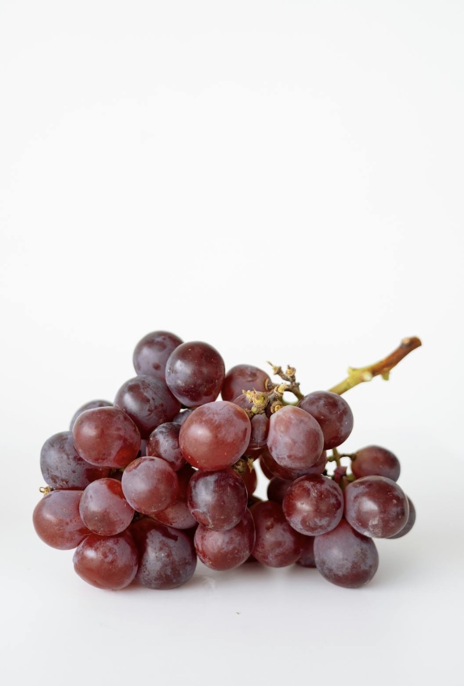 Frutas Tropicales 28