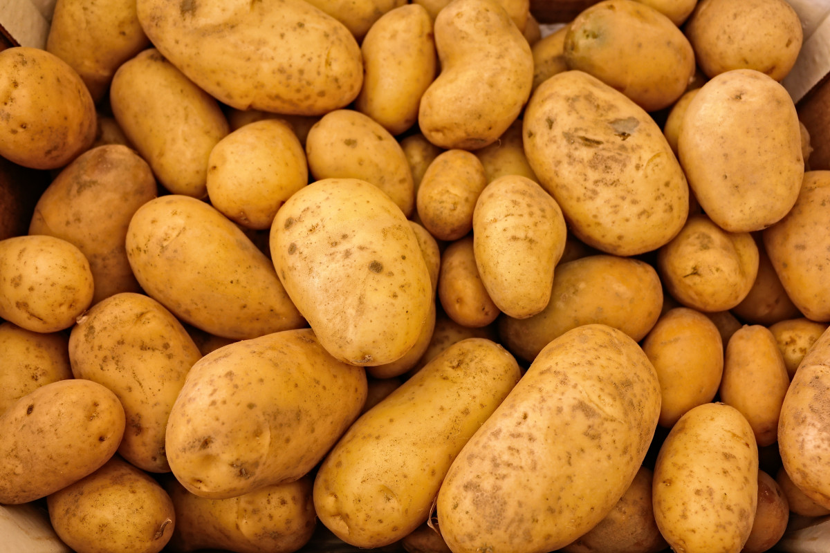 Verduras 12