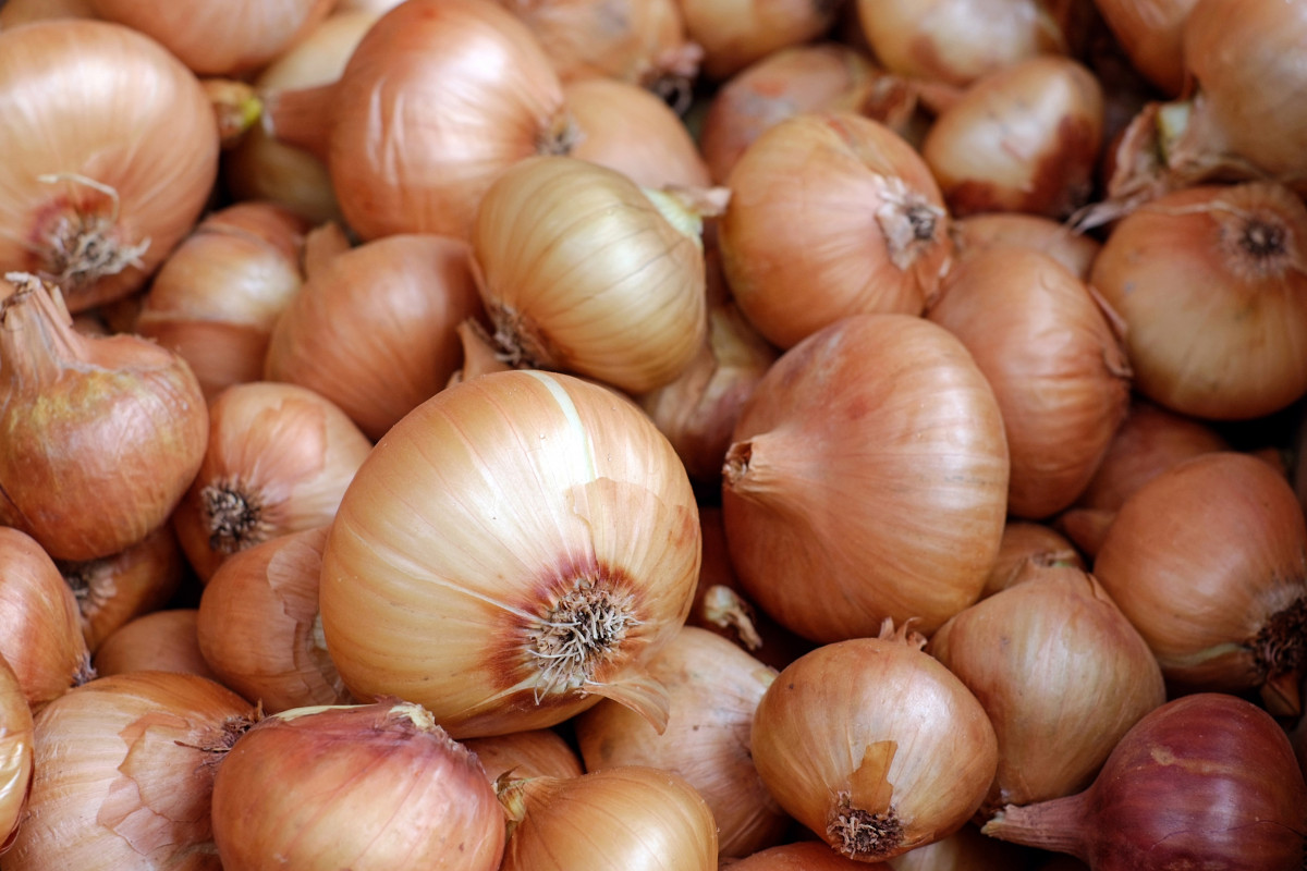 Verduras 13