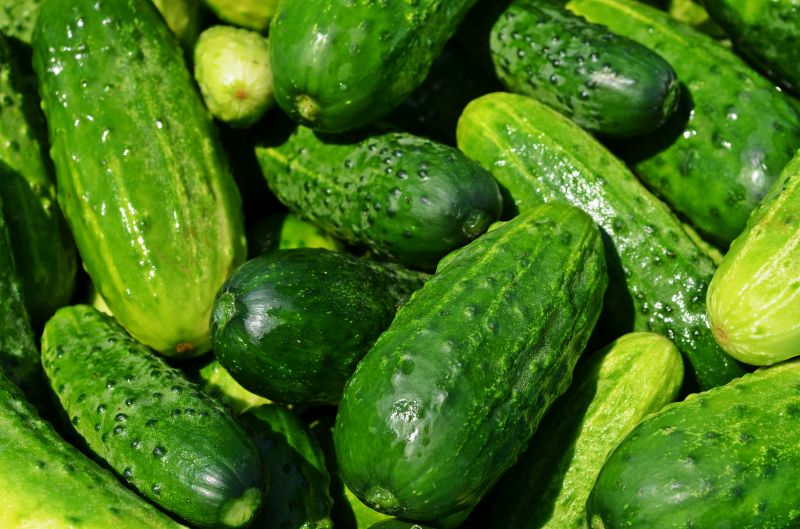 Verduras 16