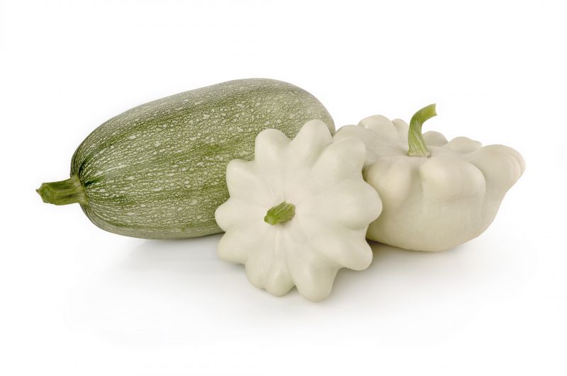 Verduras 17