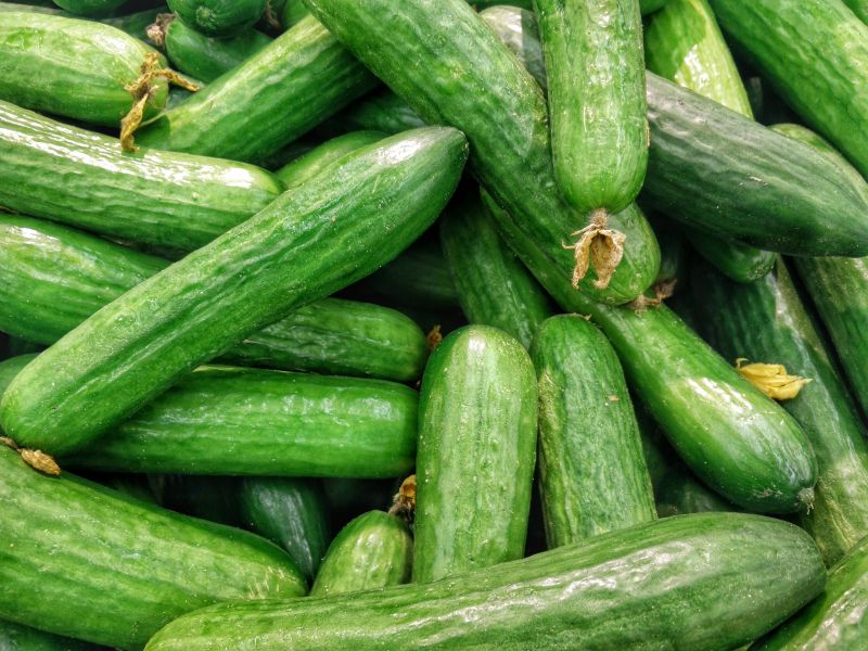 Verduras 18