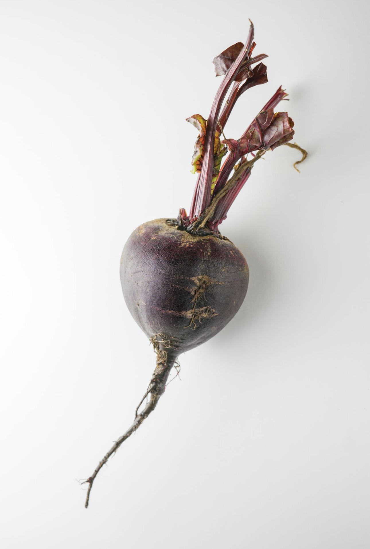 Verduras 19