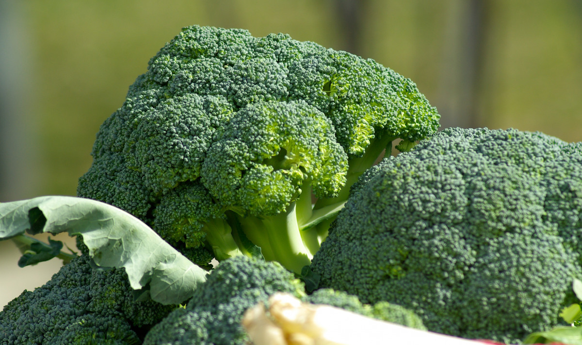 Verduras 1