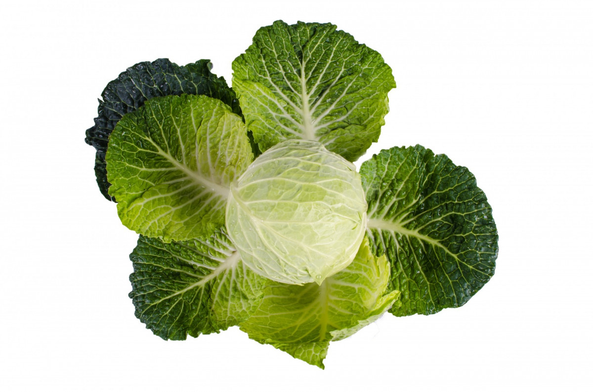 Verduras 3