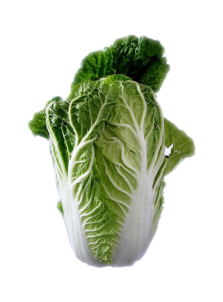 Verduras 4