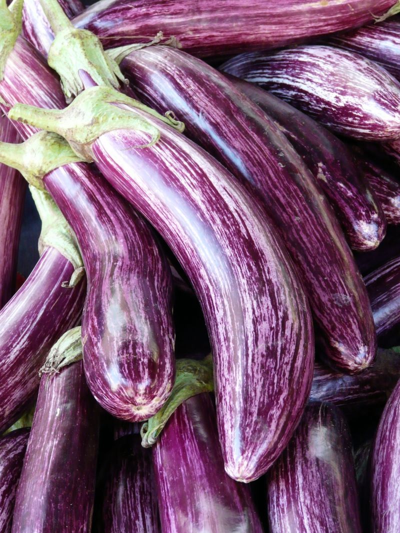 Verduras 7