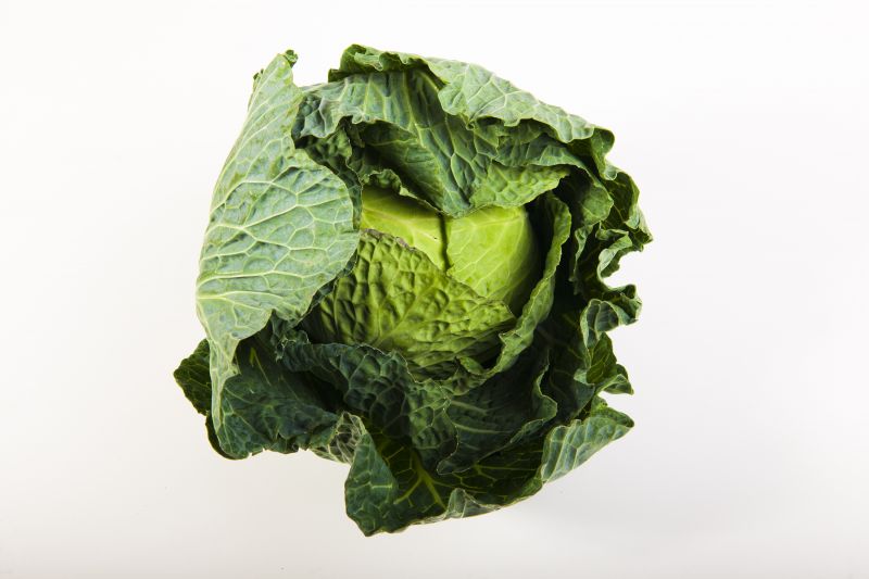 Verduras 8