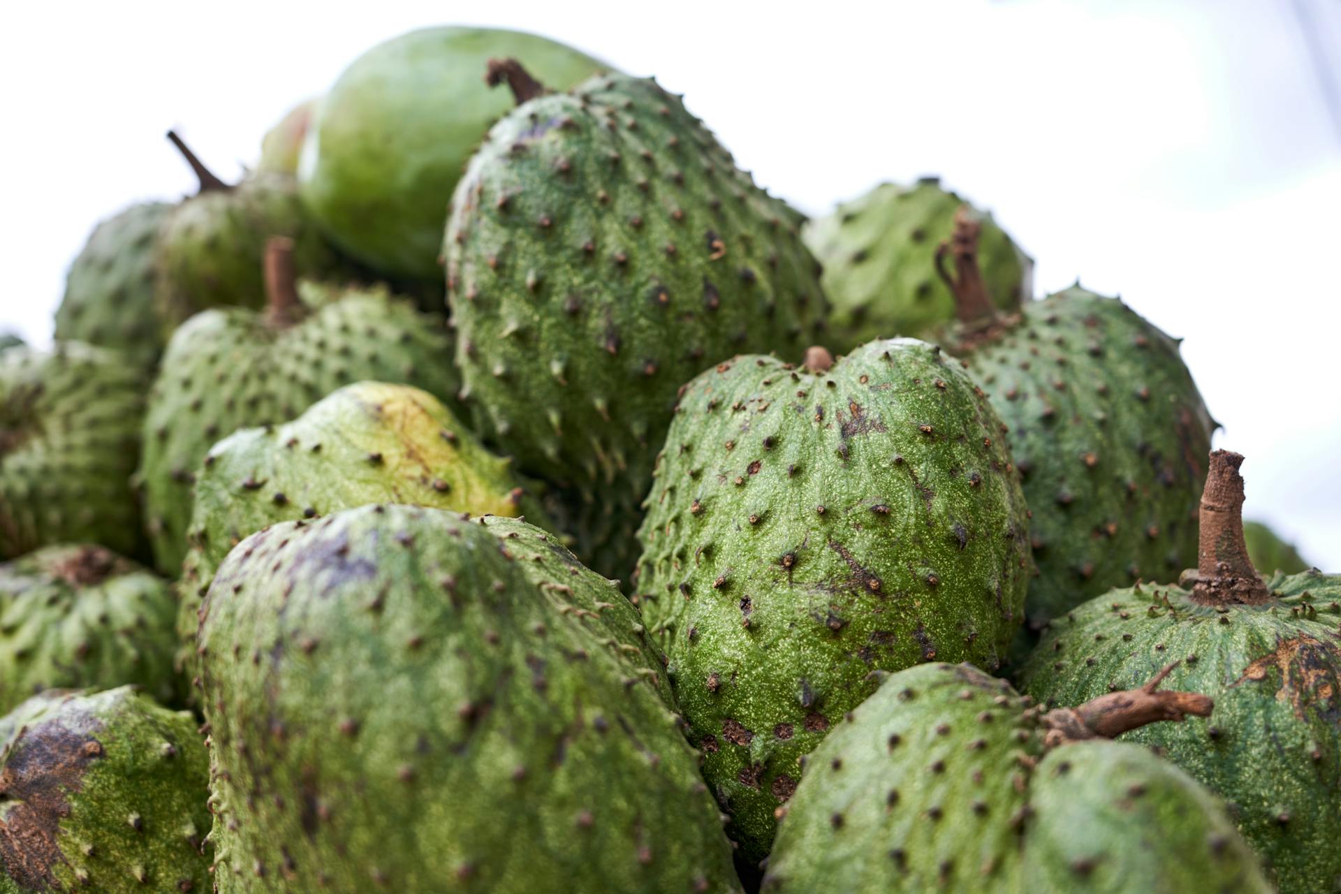 Frutas Tropicales 10