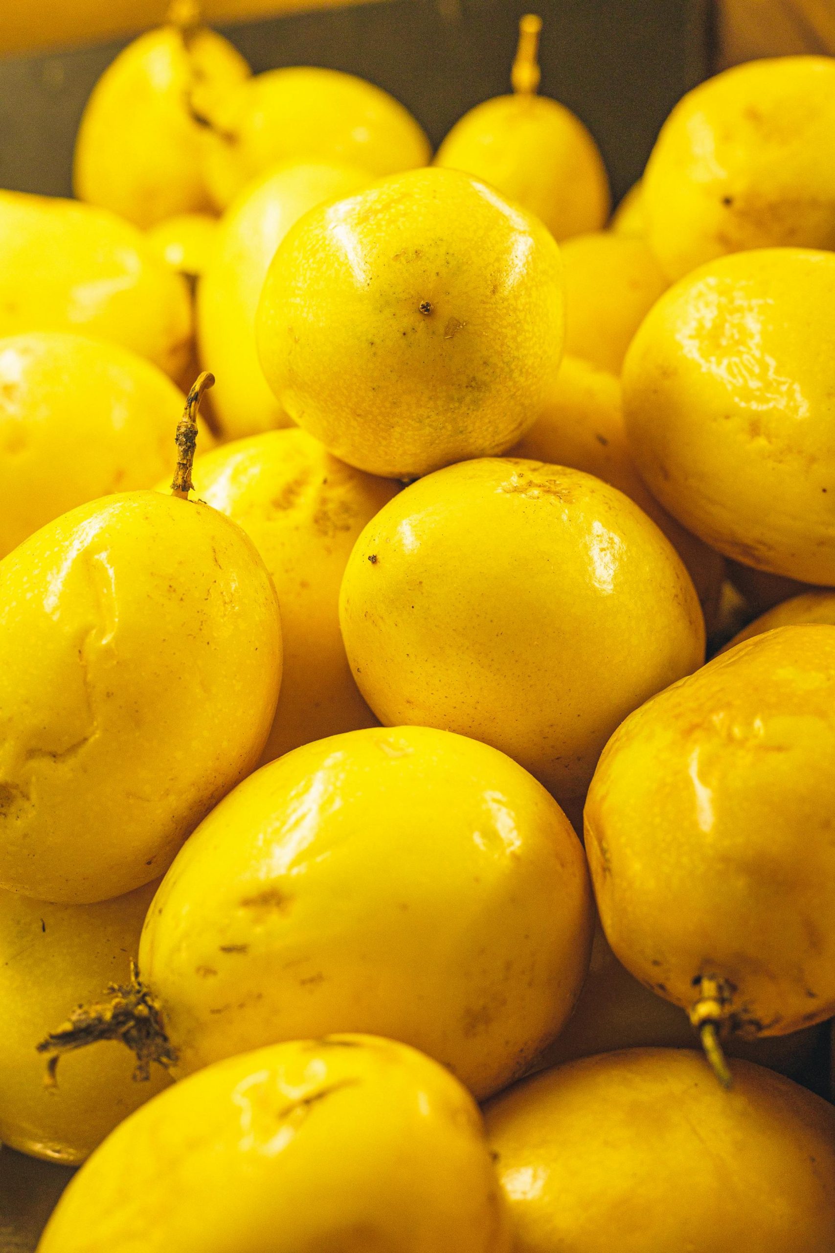 Frutas Tropicales 9
